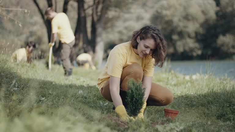 Best Tree Maintenance Programs  in Shelley, ID